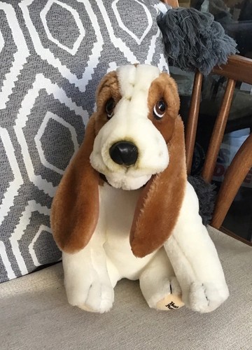 Hush puppies basset - puppies, hound
