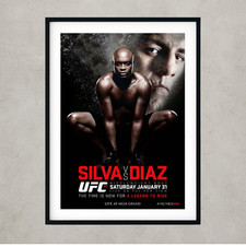 UFC 183 Anderson Silva vs Nick