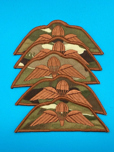 Bronze parachute wings - wings, mtp