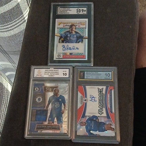 Panini premier league - panini,