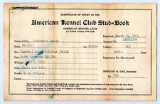 1924 American Kennel Club