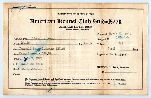 1924 american kennel club - american,