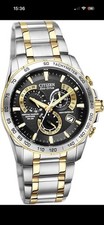 Citizen Eco-Drive Perpetual
