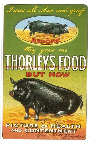 Thorley food postcard - postcard, by