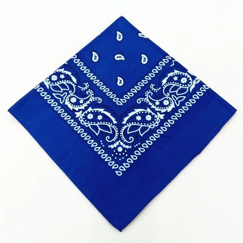 Bandana paisley print 100 - bandana,