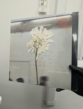 Stereo Mind Game by Daughter