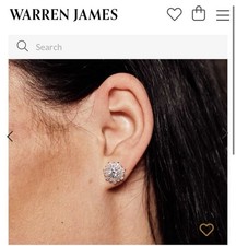 Warren James Sterling Silver Studs Brand New