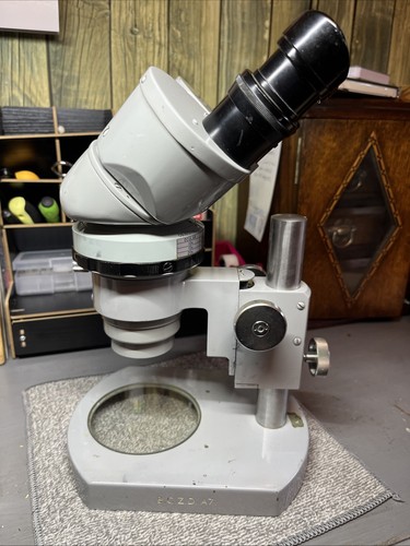 Nikon stereoscopic microscope - stereoscopic,