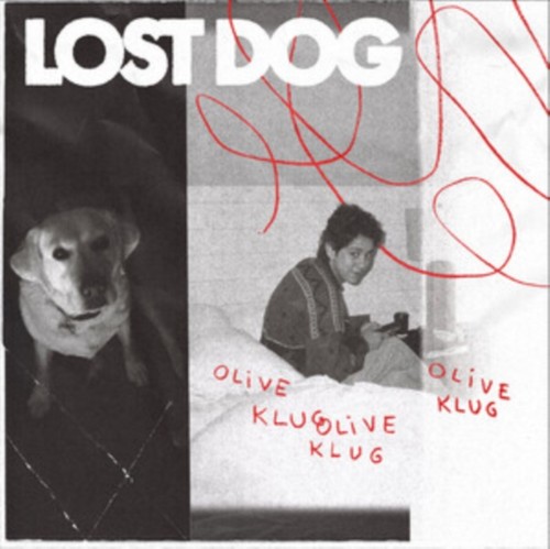 Lost dog - lost,