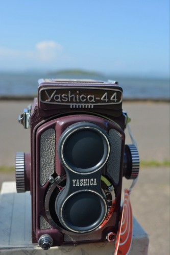 Purple yashica yashikor - yashica, a