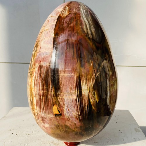 Natural petrified wood egg - natural,