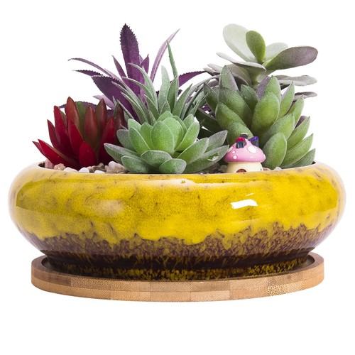 Large 3inch succulent pots - large,