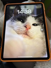 Boxed Apple iPad Pro 4th gen