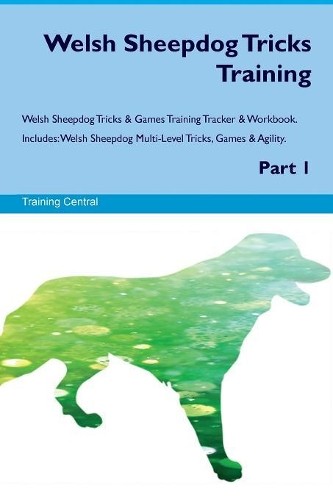 Welsh sheepdog tricks training - sheepdog,