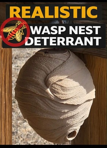 4inch realistic textured wasp - realistic,