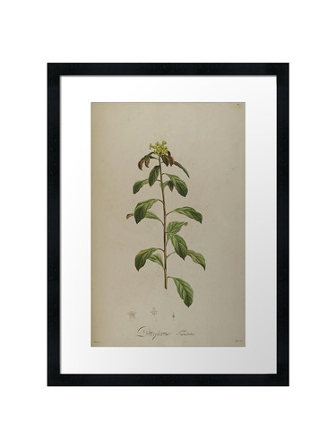 Botanical framed wall - 39,
