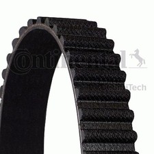 6x ✅Fits CONTITECH CT1162 Timing Belt   ⭐UK Seller⭐