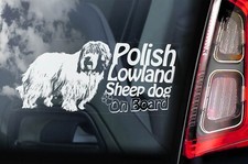Polish lowland sheepdog - lowland,