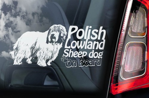 Polish lowland sheepdog - lowland,