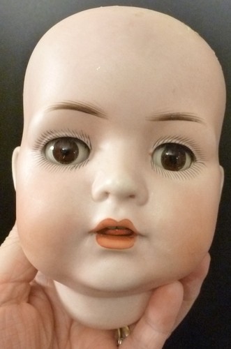 Antique bisque doll head bp - doll, head,