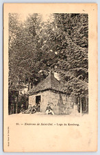 Environs de Saint-Die Postcard