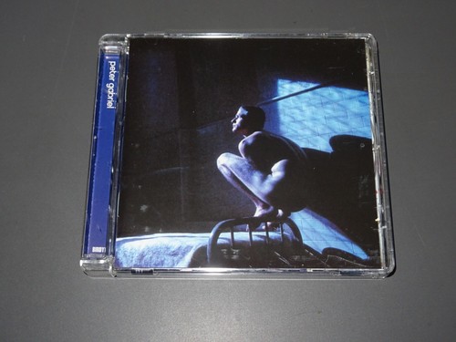 Peter gabriel birdy - gabriel,