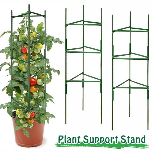 Tomato cage plant support - 1.2m,