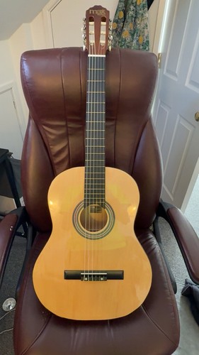 Acoustic guitar - acoustic,