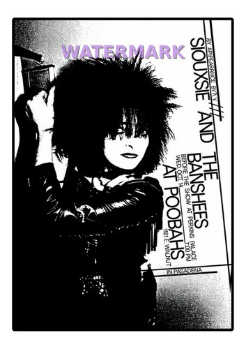 Siouxsie and the banshees gig - and,