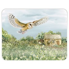 National Trust Barn Owl Worktop Protector 40x30cm Glass Chopping Board Tuftop