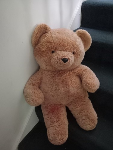 Ross soft brown teddy bear - soft,
