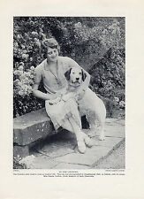 CLUMBER SPANIEL LADY AND HER DOG OLD ORIGINAL DOG PRINT PAGE FROM 1934