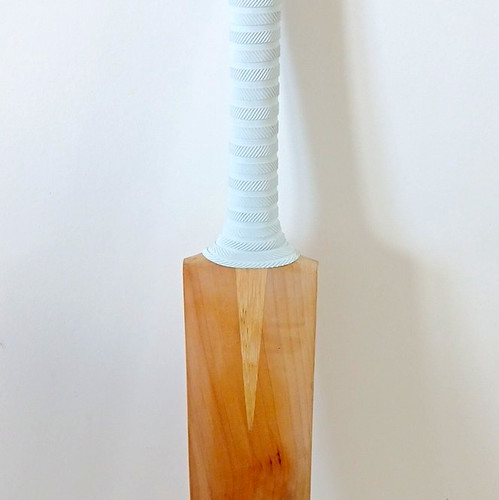 English willow cricket bat - english,