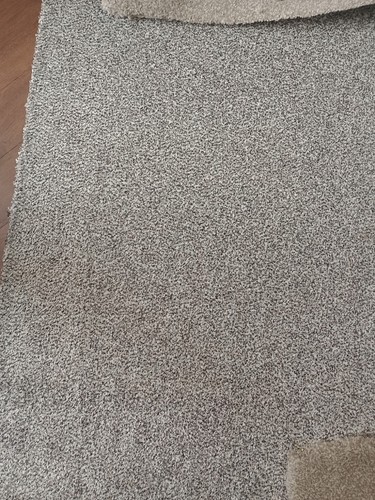 Beige carpet offcut - carpet,