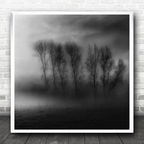 Landscape rural fog trees - landscape,