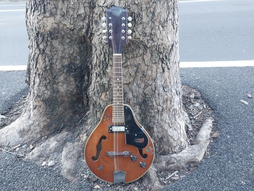 Vintage 1960 columbus - vintage,