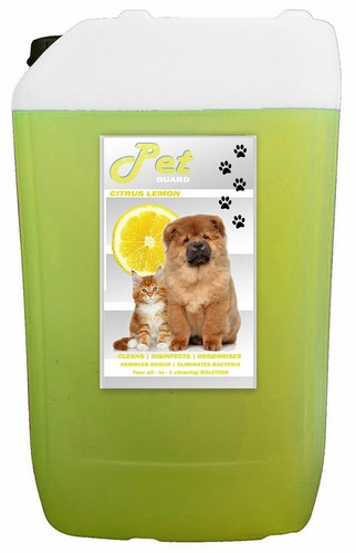Pet cattery kennel - pet,