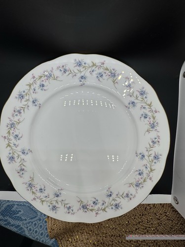 Set dinner plates - of,