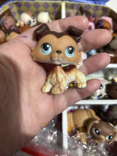 Littlest petshop collie - petshop,