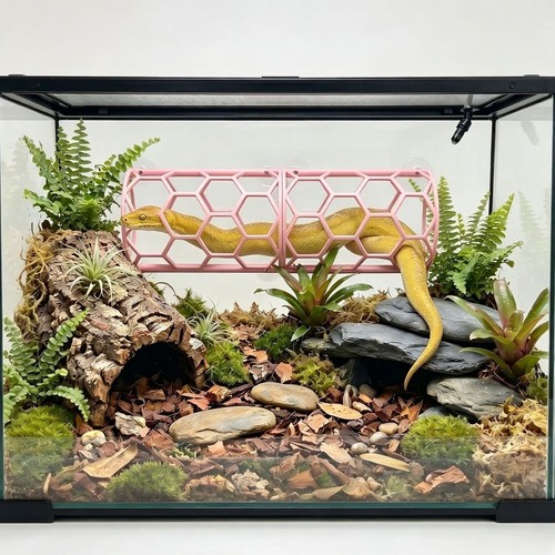 Snake climbing rack with - rack,