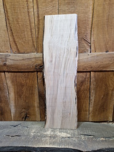 Live edge sycamore slab - live,