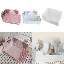 Rabbit Litter Box Training