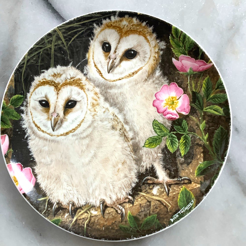 Wedgwood the baby owls barn - wedgwood,