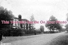 CH 1298 - Sandy Brow