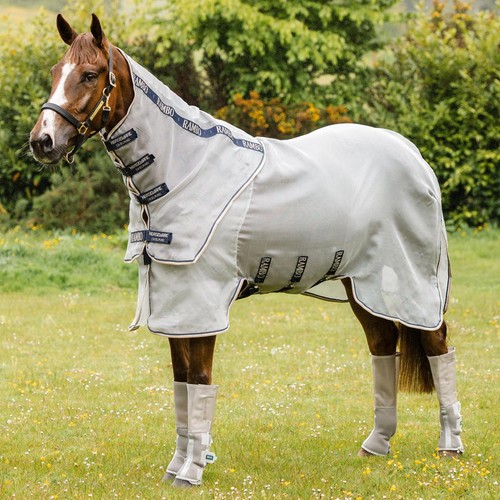 Rambo protector horse - rambo,