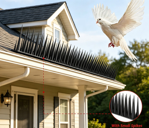 Bird spikes for - spikes,