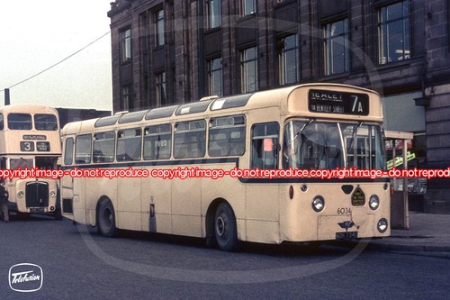 Bus photo selnec 6034 - photo,