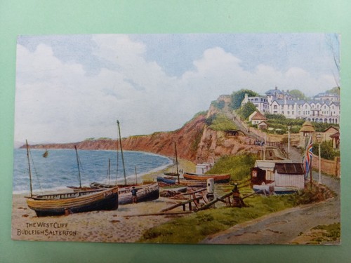 Post card salmon quinton - salmon,