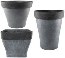 Grey large plant - large, round