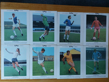 8 X TYPHOO TEA CARD 10 INCHES